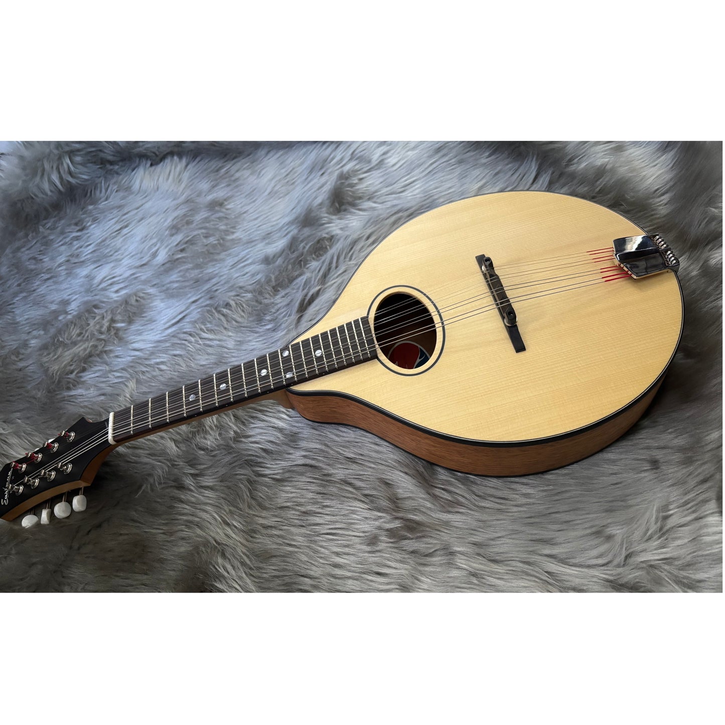 イーストマン Eastoman PCH-M104/NAT【新品】フラットマンドリン