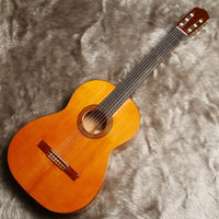 ビウダ・イ・ソブリノス・デ・ドミンゴ・エステソ　松・シープレス　1960年【USED】