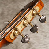 桜井・河野 Sakurai Kohno 2025年 Maestro (松・マダガスカル・ローズウッド 650mm) 【新品】 クラシックギター