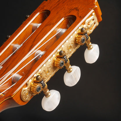 桜井・河野 Sakurai Kohno 2016年 Professional-J (松・マダガスカルローズウッド 650mm)【中古】 クラシックギター