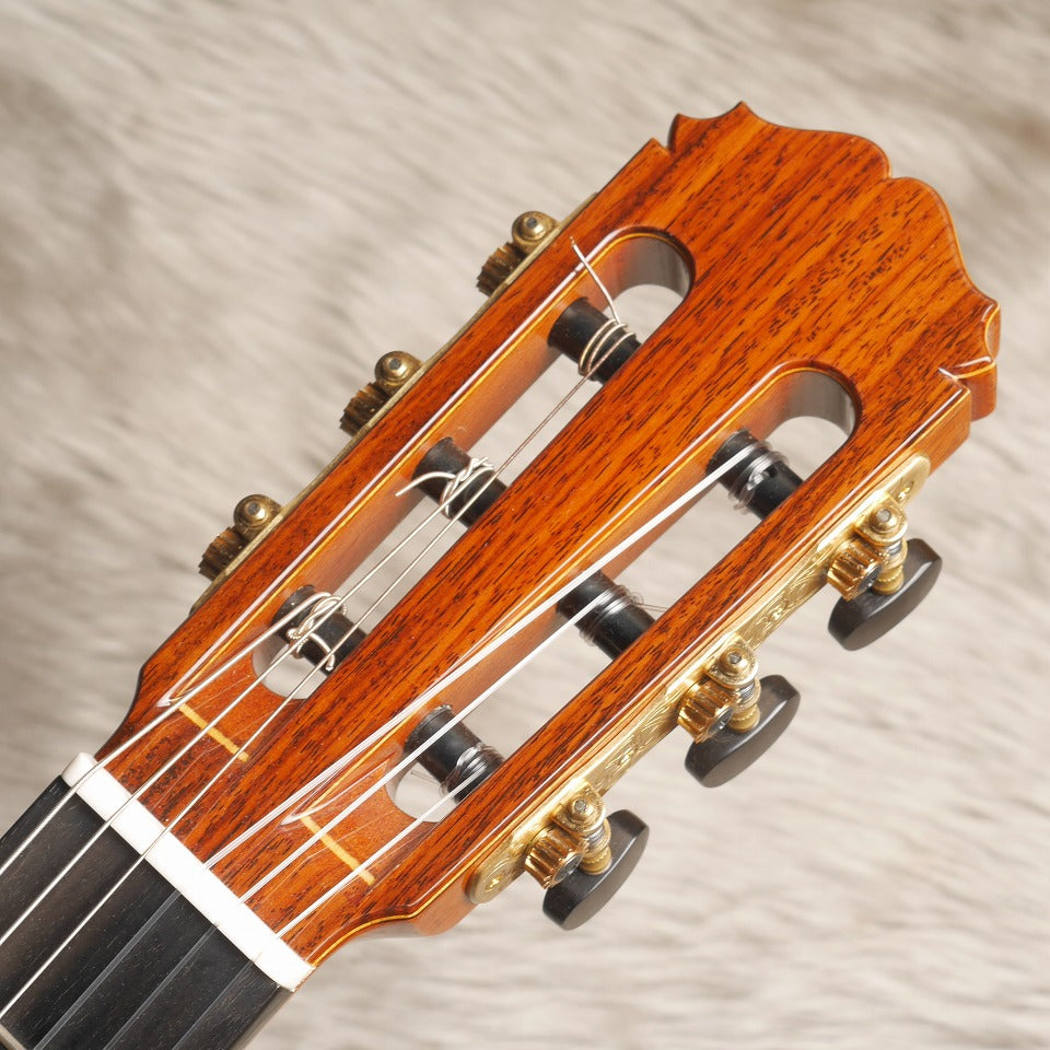 桜井・河野 Sakurai Kohno 2023年 Professional-SR (松・インディアンローズウッド 640mm) 【新品】 クラシックギター
