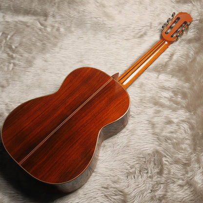 桜井・河野 Sakurai Kohno 2023年 Professional-SR (松・インディアンローズウッド 640mm) 【新品】 クラシックギター