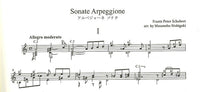【楽譜】シューベルト：ギターソロのためのアルペジョーネ・ソナタ／西垣正信・編曲