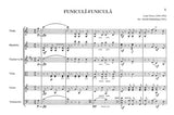 【楽譜】シェーンベルク：3つの編曲（デンツァ：フニクリ＝フニクラ［Vn&Mn&Cl&Vla&G&Vc］，シューベルト：セレナーデ［Cl&Fg&Mn&G&2Vn&Vla&Vc］，シオリー：Weil I A Alter Drahrer Bin ［Vn&Mn&Cl&Vla&G&Vc］）。スコアとパート譜。1921年夏のバカンスで生徒と演奏するために編曲。シェーンベルク自身はVcを演奏