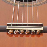 ストリングタイTST-G BR（Brown）