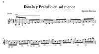 【楽譜】バリオス・ゴールデン・ブックVol.2：練習曲＆二重奏［シェパード編］